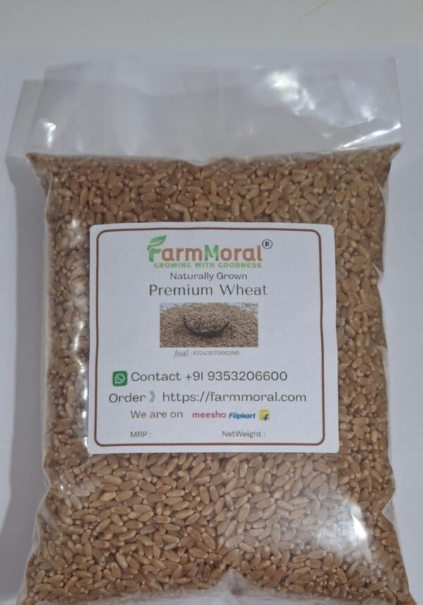 Whole Wheat, Premium Wheat, Organic Wheat, Sharbati Wheat, Desi Wheat, Natural Wheat Grains, Buy wheat online, Fresh wheat grain, Pure wheat grain, Farm-fresh wheat, Soft wheat for chapati, High-fiber wheat, Unpolished wheat grain, ಗೋಧಿ(Gōdhi)