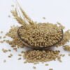 Whole Wheat, Premium Wheat, Organic Wheat, Sharbati Wheat, Desi Wheat, Natural Wheat Grains, Buy wheat online, Fresh wheat grain, Pure wheat grain, Farm-fresh wheat, Soft wheat for chapati, High-fiber wheat, Unpolished wheat grain, ಗೋಧಿ(Gōdhi)