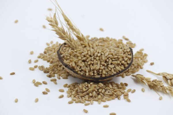 Whole Wheat, Premium Wheat, Organic Wheat, Sharbati Wheat, Desi Wheat, Natural Wheat Grains, Buy wheat online, Fresh wheat grain, Pure wheat grain, Farm-fresh wheat, Soft wheat for chapati, High-fiber wheat, Unpolished wheat grain, ಗೋಧಿ(Gōdhi)