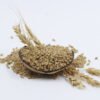 Whole Wheat, Premium Wheat, Organic Wheat, Sharbati Wheat, Desi Wheat, Natural Wheat Grains, Buy wheat online, Fresh wheat grain, Pure wheat grain, Farm-fresh wheat, Soft wheat for chapati, High-fiber wheat, Unpolished wheat grain, ಗೋಧಿ(Gōdhi)