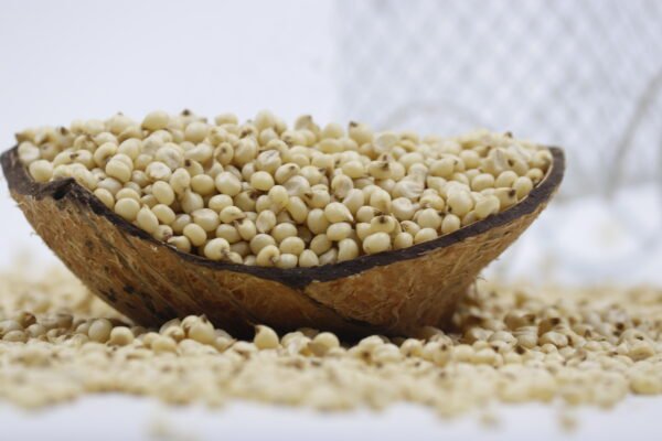 Jowar, Sorghum, Whole Jowar, Jowar grain, ಜೋಳ(Jōḷa), rganic Jowar, Natural Jowar, Gluten-free grain, Millet grain, Buy Jowar online, Organic Jowar grain, Jowar benefits, Best Jowar for roti, Whole grain, Cleaned Jowa, Unpolished grain, Farm fresh, Vacuum packed, Eco-friendly packaging