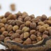 Bengal Gram, Chana, Premium Bengal Gram, Unpolished Chana, Whole Bengal Gram, High protein lentils, Diabetic-friendly dal, Low glycemic dal, Plant-based protein, High fiber dal, Heart-healthy lentils, Vegan protein source, Indian lentils, Pulses for home cooking, Organic food, Healthy Indian groceries, Vegan food, Gluten-free diet, Traditional Indian food, Protein for vegetarians, Buy Bengal gram online, Best quality Chana, Where to buy unpolished Chana dal, Chemical-free Bengal gram, Natural Indian pulses, Fresh Chana online, Bengal gram for daily use